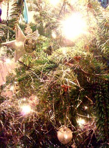 Tree (taken by eldest godchild) Tree (taken by eldest godchild)