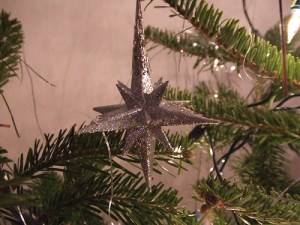 Sliver and spikey Sliver and spikey