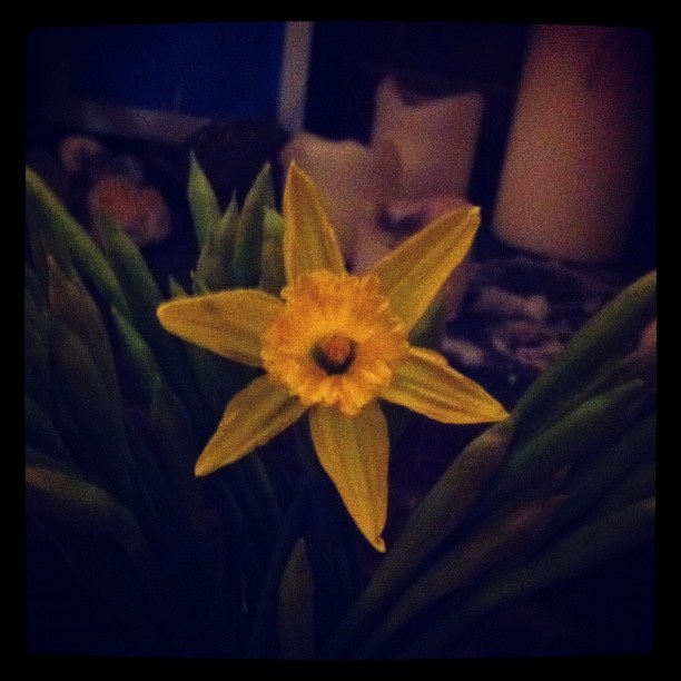 6769615039_6338c361a0_2