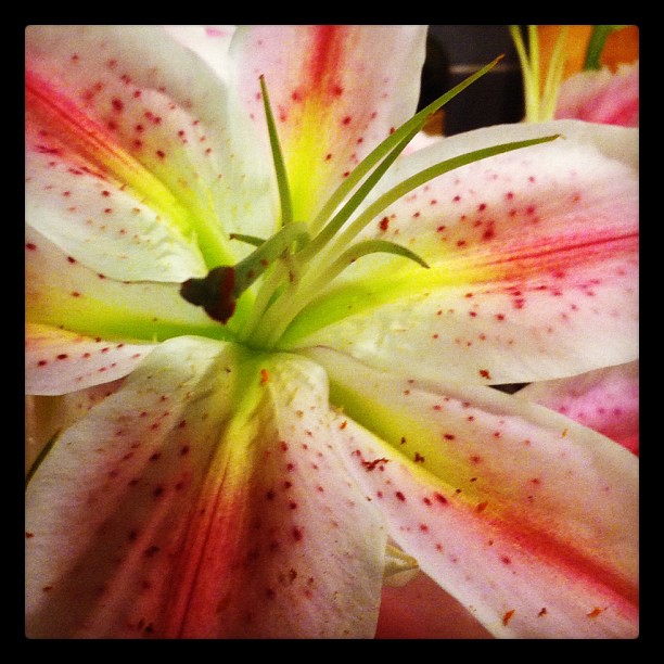 6818788541_8c2b3d4f8b_o