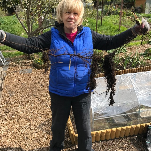 mother used for scale